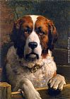 Famous Dog Paintings - A St. Bernard Dog